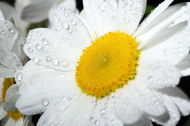 Similar image 590389