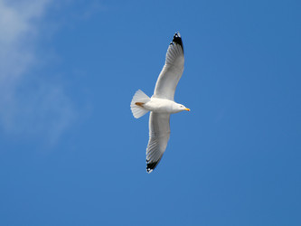 Similar image 590444