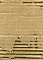 Similar image 590445