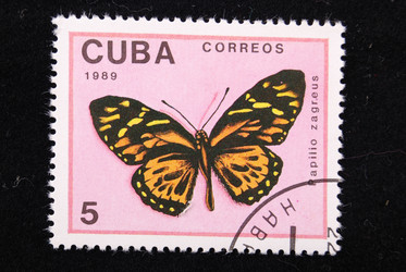 Similar image 590477