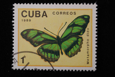 Similar image 590480