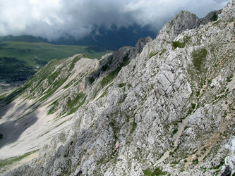 Similar image 590483