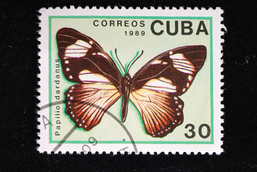 Similar image 590485