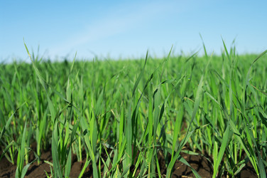 Similar image 590523