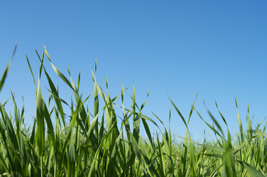 Similar image 590524