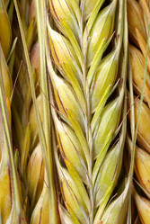 Similar image 590553