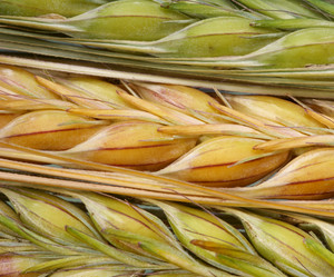 Similar image 590554