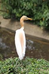 Similar image 590557