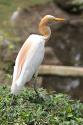 Similar image 590559