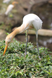 Similar image 590562