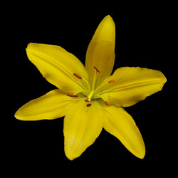 Similar image 590584