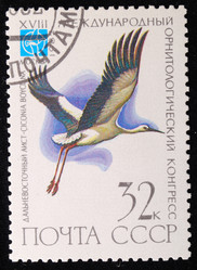 Similar image 590586