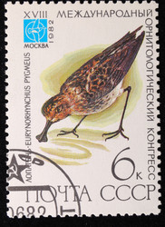 Similar image 590590