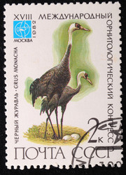 Similar image 590592