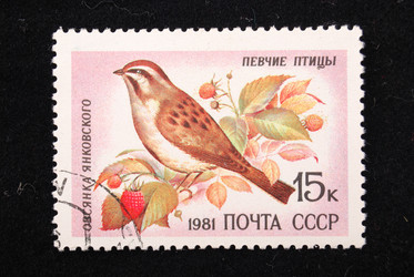 Similar image 590593