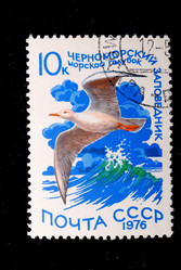 Similar image 590594