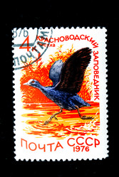 Similar image 590595