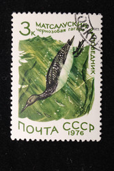 Similar image 590596