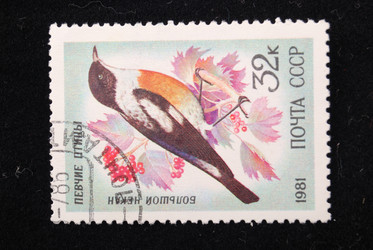 Similar image 590597