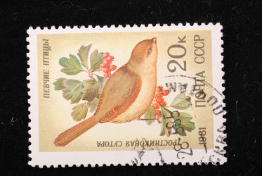 Similar image 590598