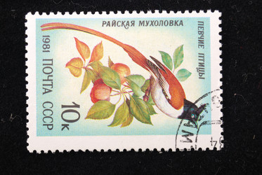 Similar image 590601