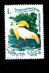 Similar image 590603