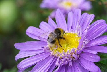 Similar image 590614