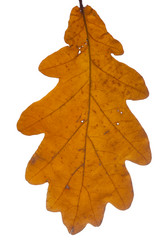 Similar image 590631