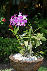 Similar image 590660