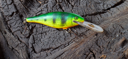 Similar image 590683