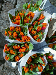 Similar image 590690