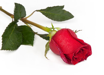 Similar image 590692