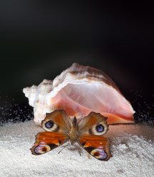 Similar image 590693