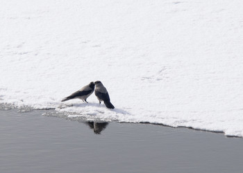 Similar image 590720