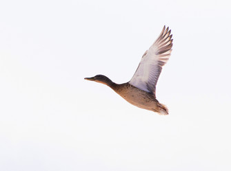 Similar image 590722