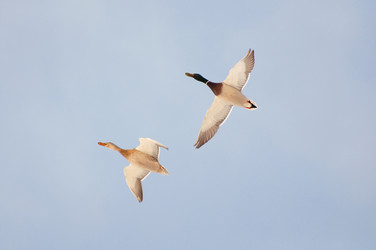 Similar image 590726