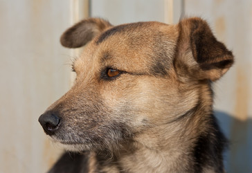 Similar image 590738