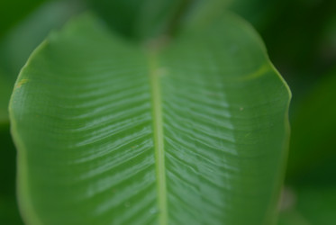 Similar image 590749