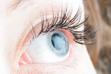 Similar image 590755