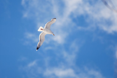 Similar image 590757