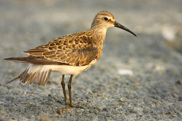 Similar image 590775