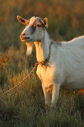 Similar image 590777