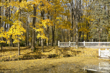 Similar image 590871