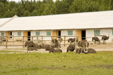 Similar image 590903