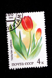 Similar image 590944