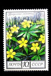 Similar image 590943