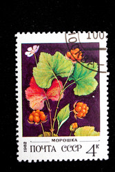 Similar image 590945