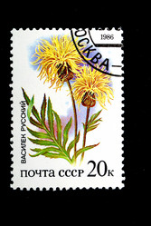 Similar image 590946