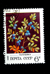 Similar image 590947