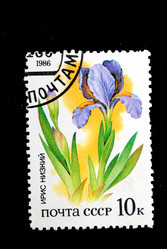 Similar image 590948